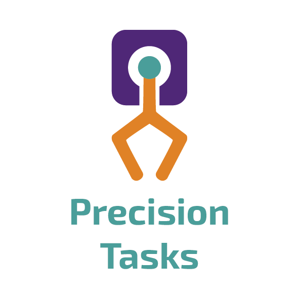 Precision Tasks